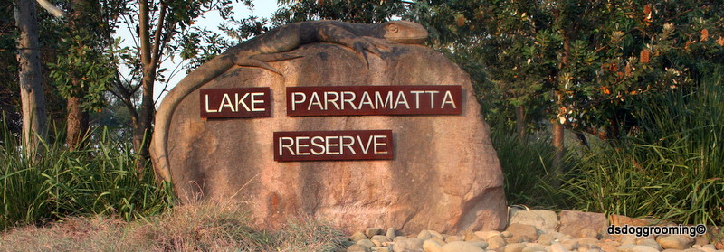 Lake Parramatta Reserve - North Parramatta